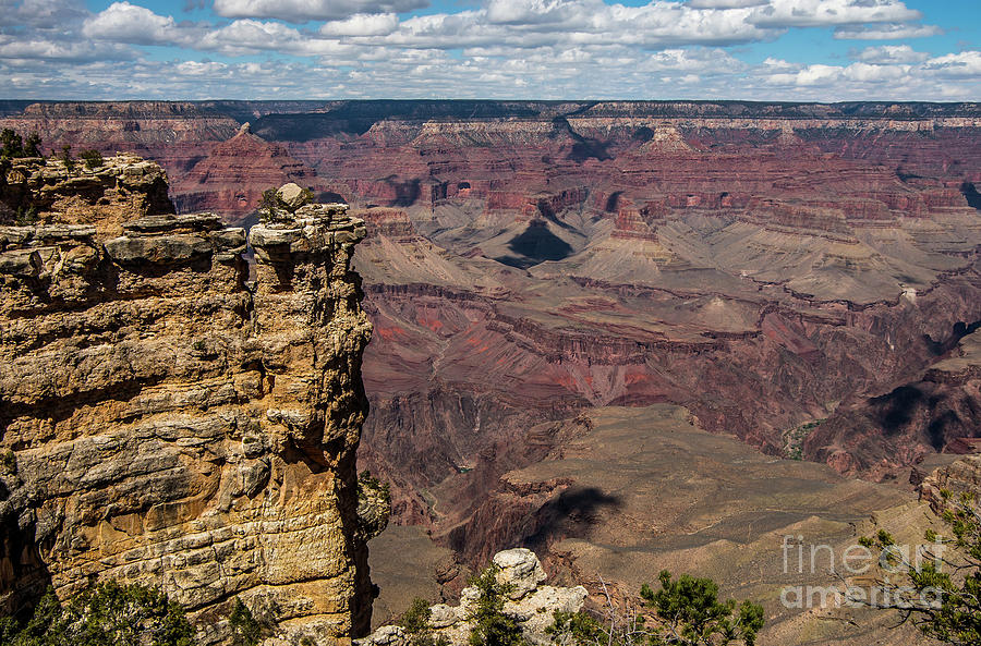 The South Rim Photograph by Stephen Whalen