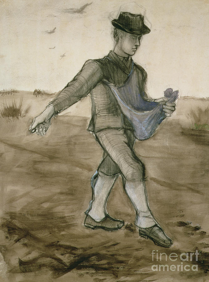 The Sower, 1881 Drawing by Vincent Van Gogh