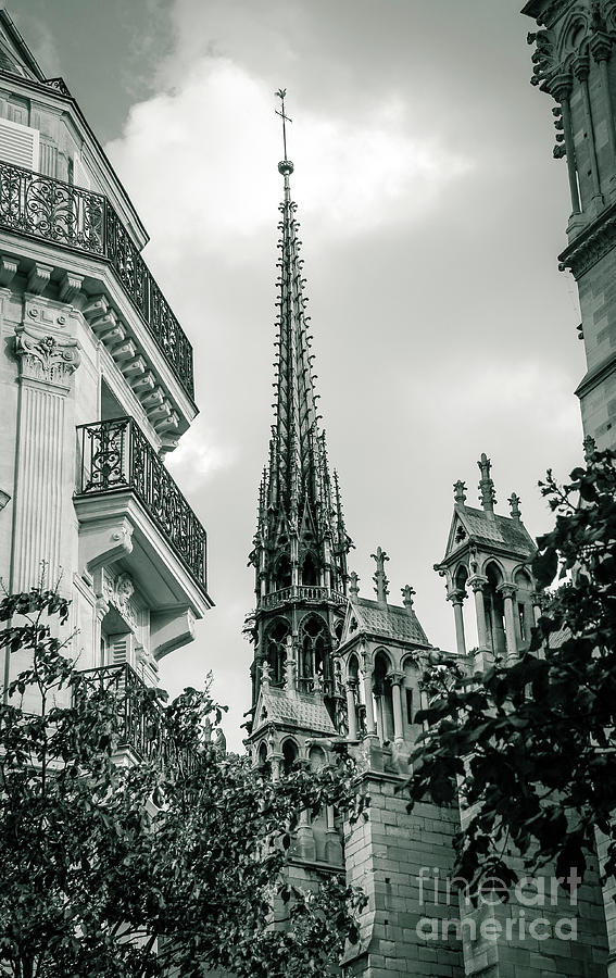 The Spire of Notre Dame de Paris Black and White Photograph by Marina McLain