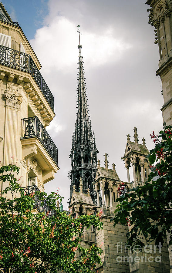 The Spire of Notre Dame de Paris Photograph by Marina McLain