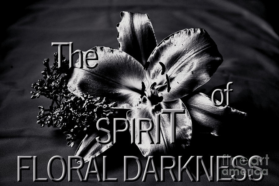 The Spirit of Floral Darkness Photograph by Silva Wischeropp