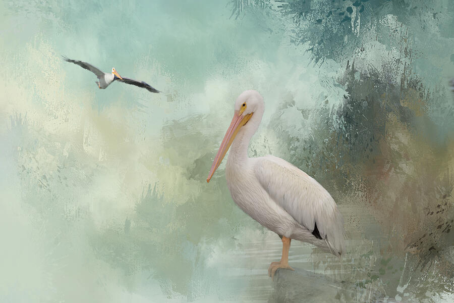 Pelican Photograph - The Spirit of Nature by Kim Hojnacki