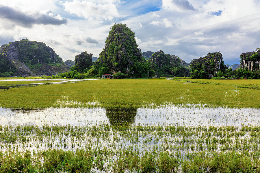 The Spirit of Ninh Binh 2 by Sam Morris The Spirit of Ninh Binh 2 by Sam Morris