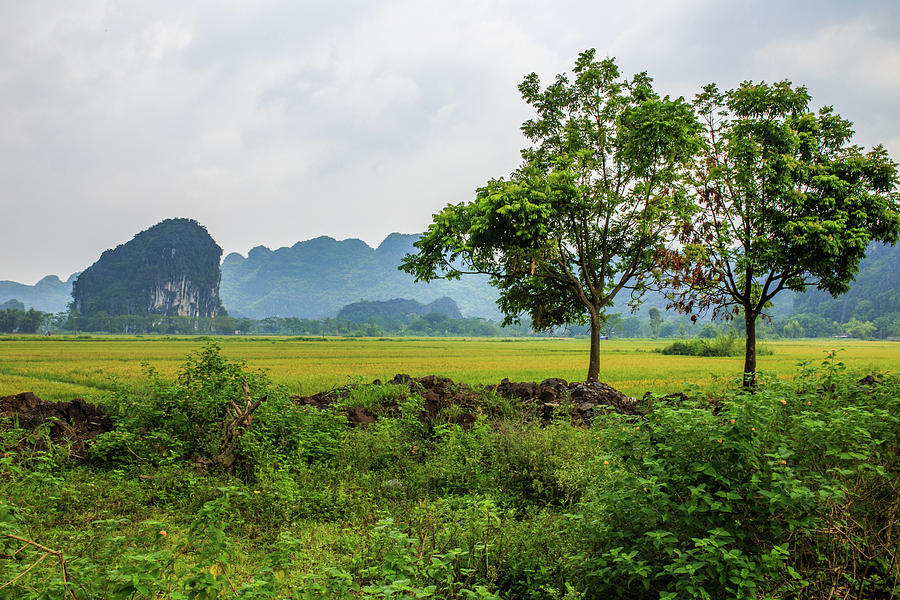 The Spirit of Ninh Binh by Sam Morris The Spirit of Ninh Binh by Sam Morris