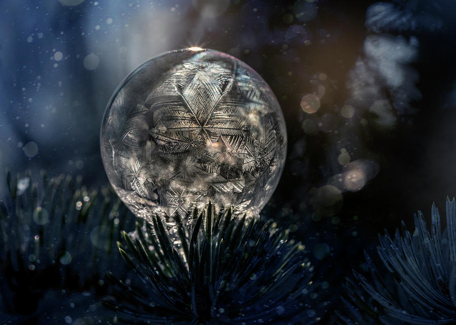 The spirit of winter Photograph by Jaroslaw Blaminsky