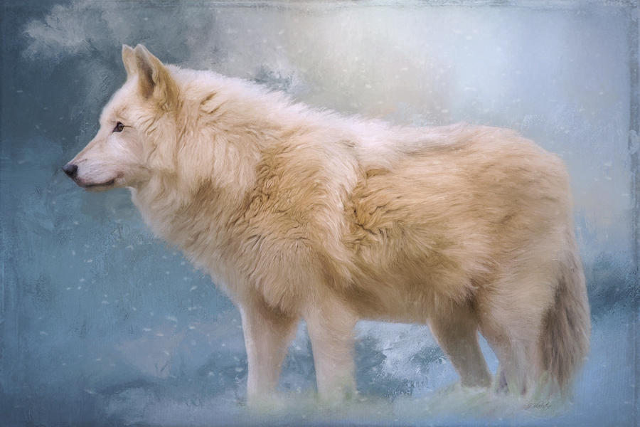 The Spirit Within - Arctic Wolf Art Painting by Jordan Blackstone
