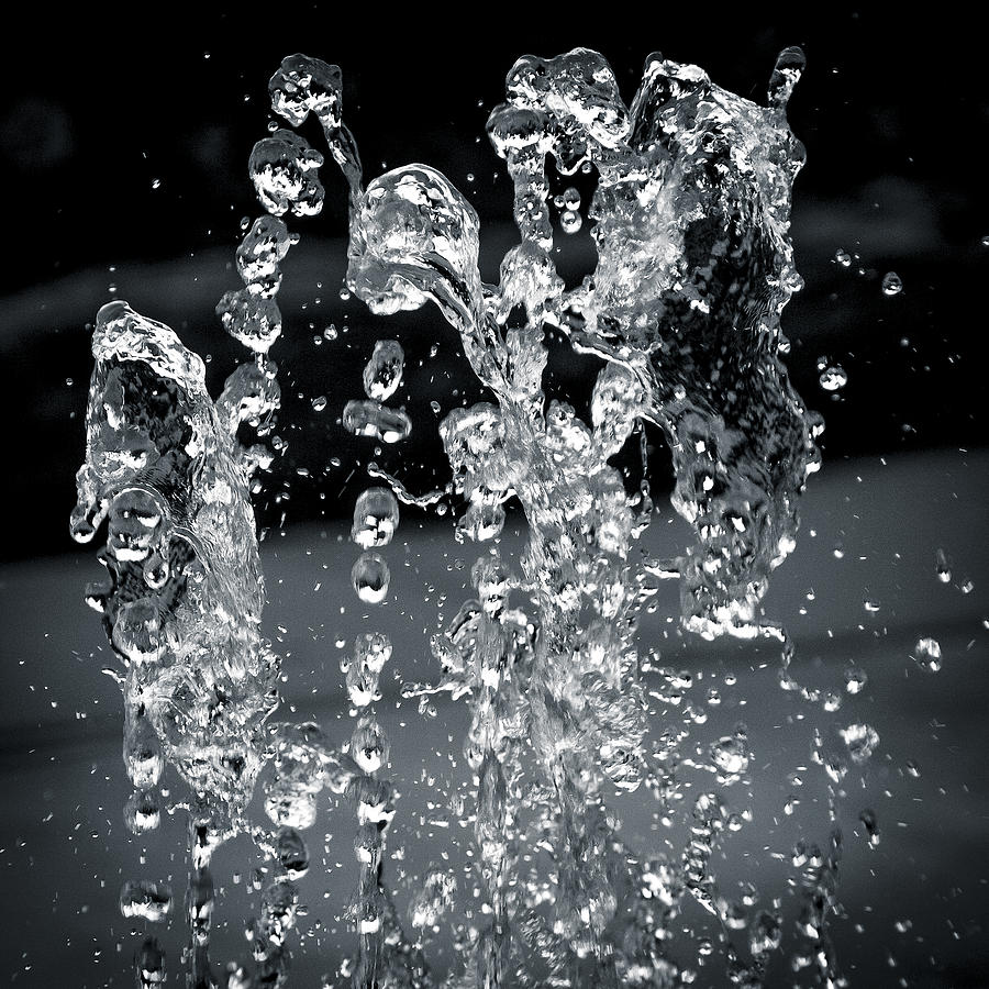 The Splash Photograph by Andy Smetzer