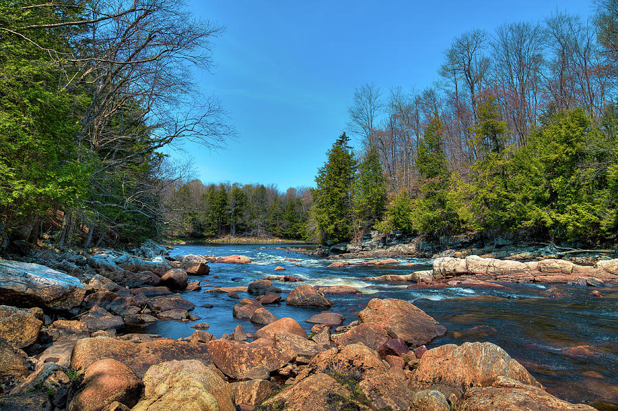 The Splendor of Spring on the Moose River Photograph by David Patterson