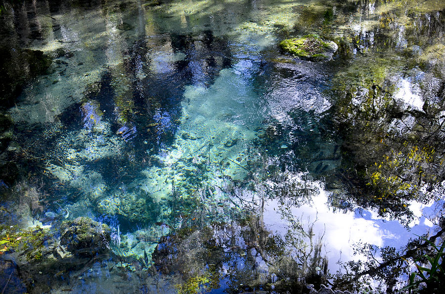 The Springs Photograph by Carolyn Marshall