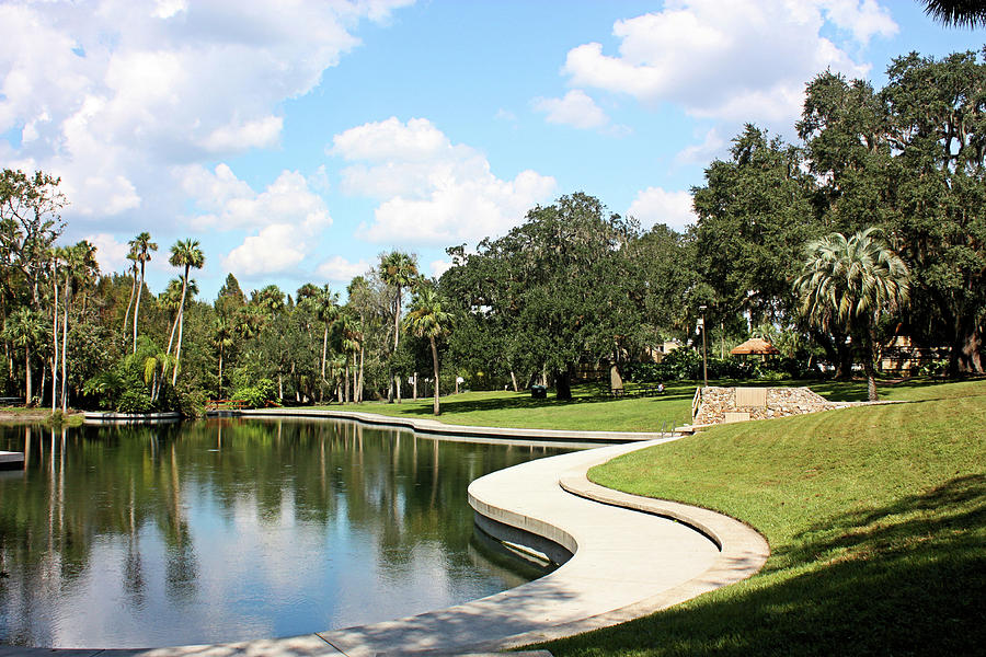 The Springs in Longwood by Kristin Elmquist The Springs in Longwood by Kristin Elmquist