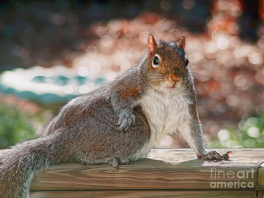 Nature Photograph - The Squirrel Show-off by Sue Melvin