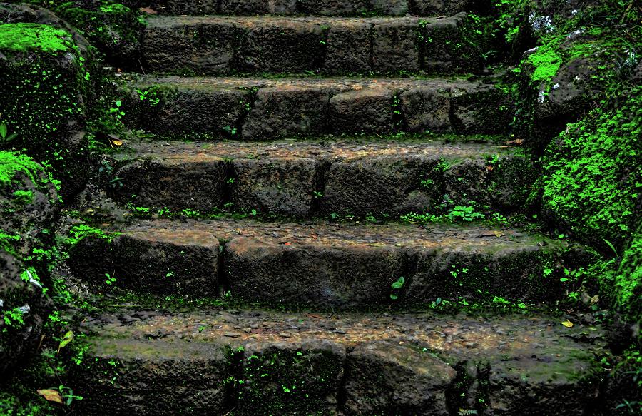 The Stairs 5 by Kristalin Davis Photograph by Kristalin Davis