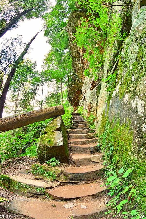 The Stairs At Rock House Hocking Hills Ohio Photograph by Lisa Wooten