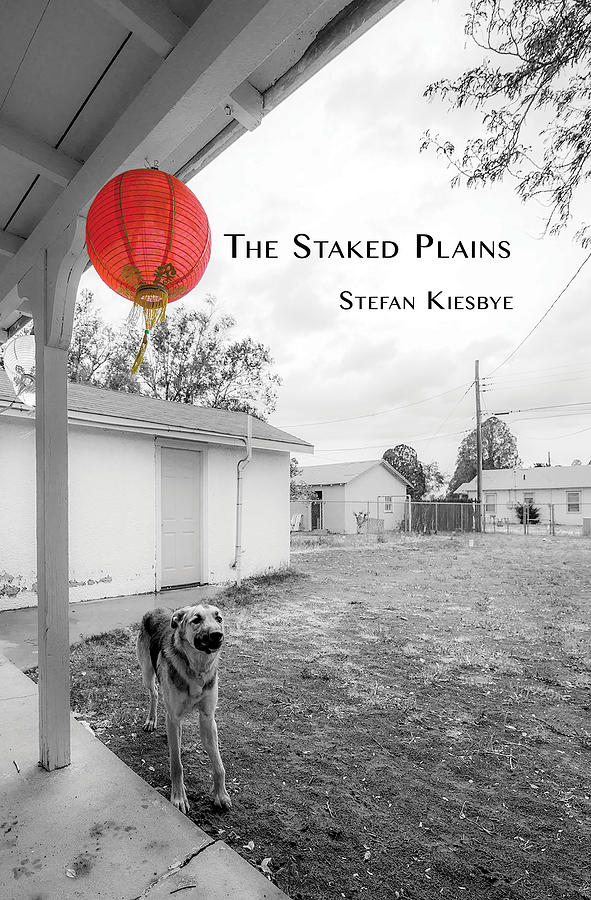 The Staked Plains book cover Photograph by Don Mitchell