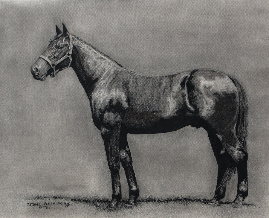 Derby Painting - The Standardbred by Thomas Allen Pauly Derby Painting - The Standardbred by Thomas Allen Pauly
