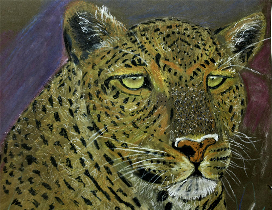 The Stare Pastel by Susan Van Zyl - Fine Art America