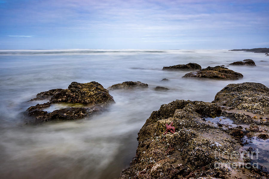 Beach Photograph - The Starfish by Ronda Kimbrow