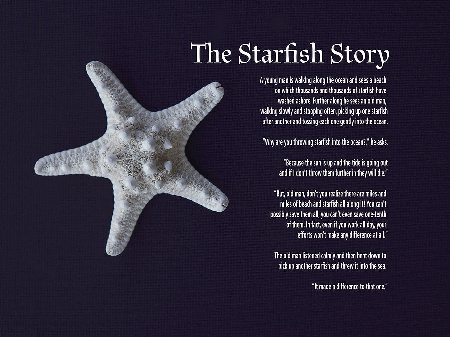 Starfish Story Poster That are Influential | Tristan Website