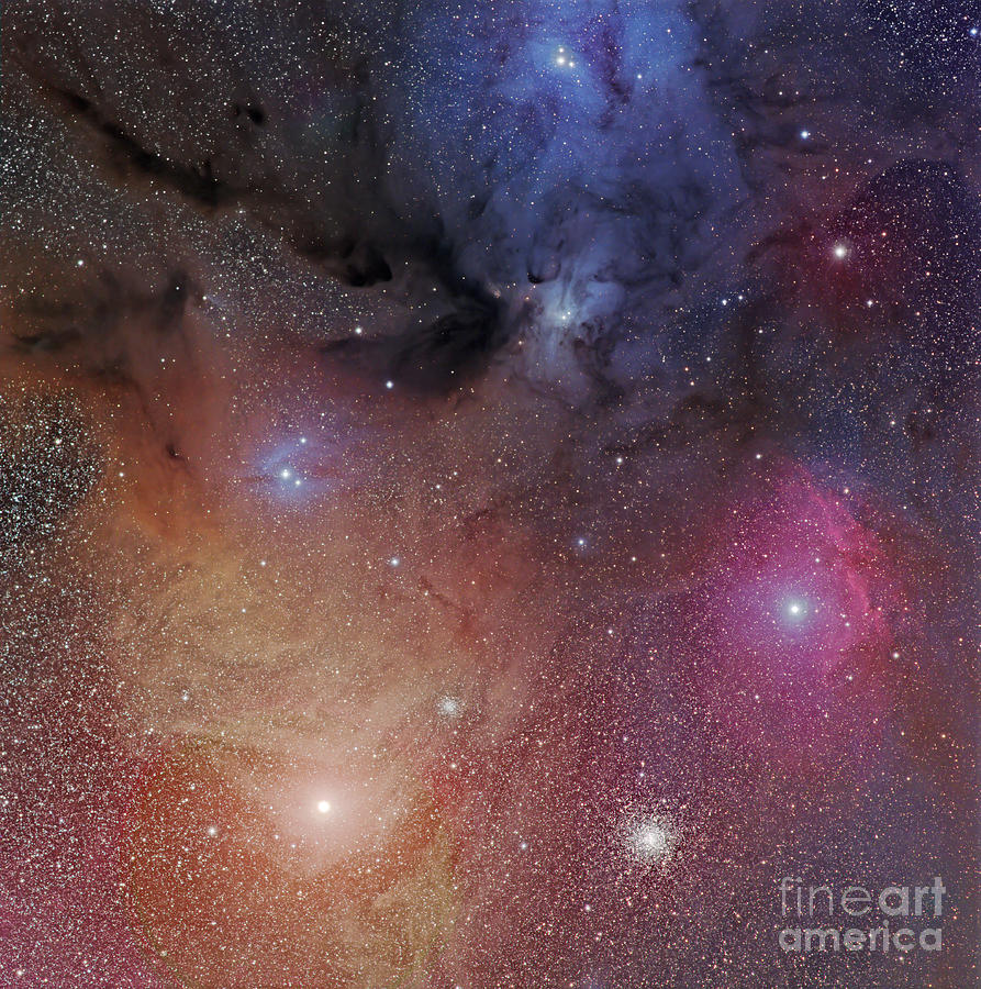 The Starforming Region Of Rho Ophiuchus Photograph by Phillip Jones