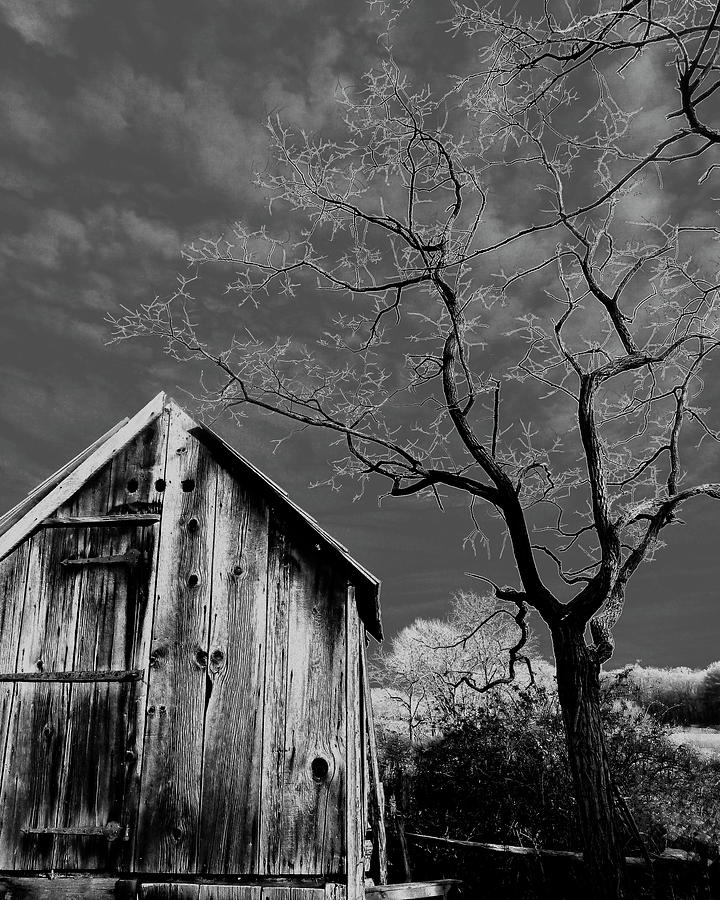The Stark Barn Photograph By Irene Bacchi