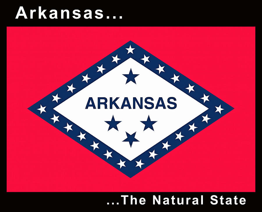 The State Flag Of Arkansas Painting by Floyd Snyder