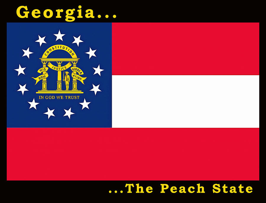 The State Flag of Georgia Painting by Floyd Snyder