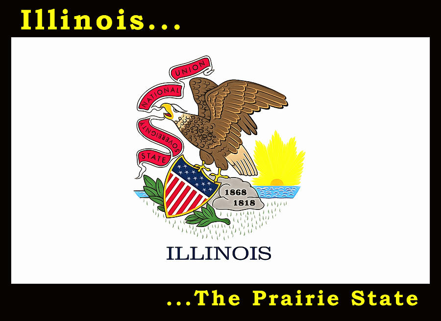 The State Flag of Illinois Painting by Floyd Snyder