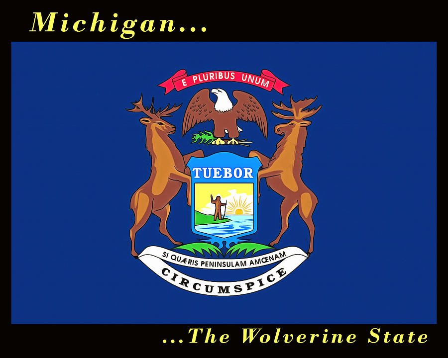 The State Flag of Michigan Painting by Floyd Snyder