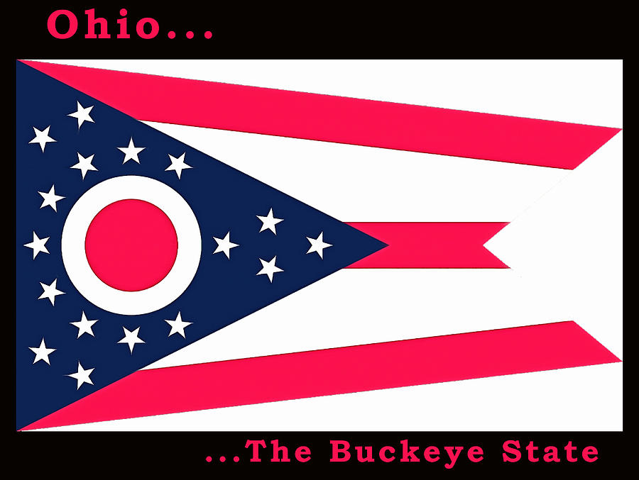 The State Flag of Ohio Painting by Floyd Snyder