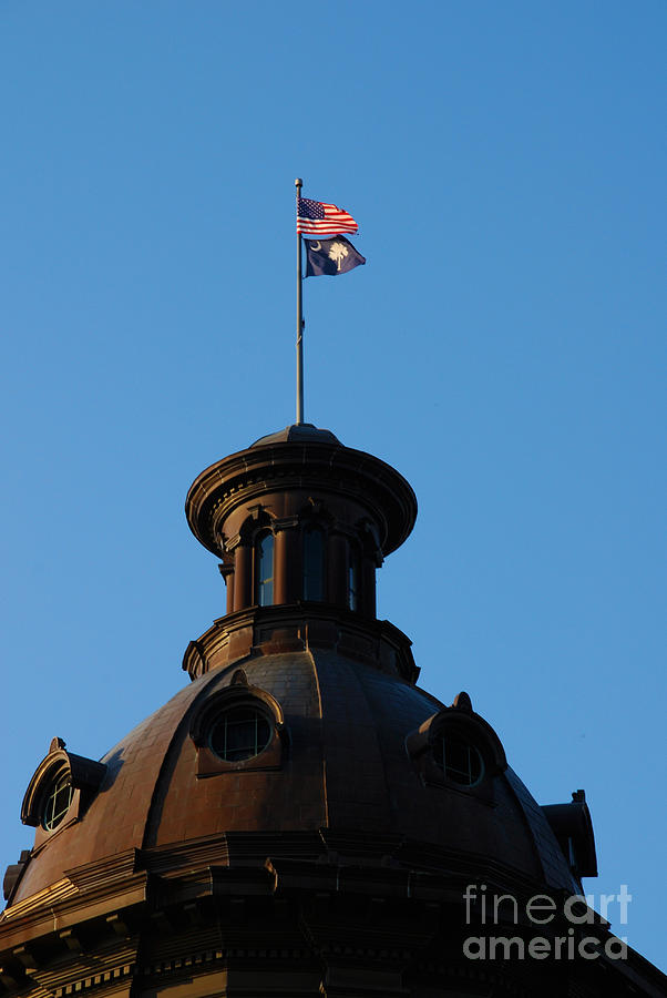 The State Flag of South Carolina in Columbia SC Photograph by Susanne Van Hulst