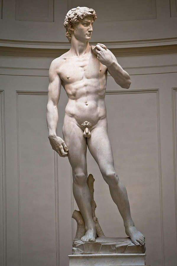 The Statue of David by Michelangelo  Photograph by Brch Photography