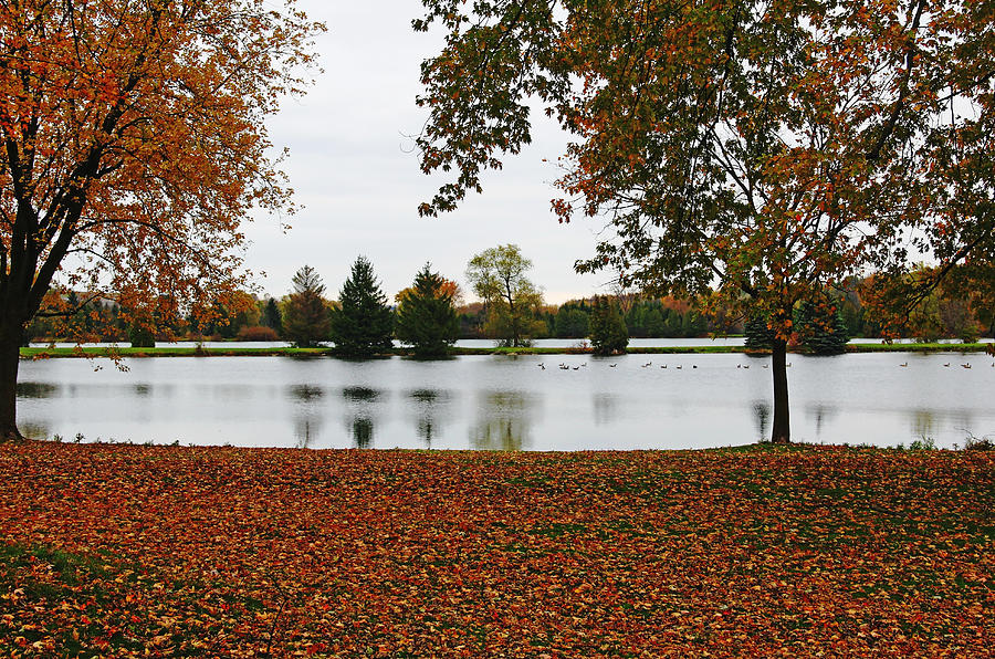 The Stillness Of Autumn Photograph by Debbie Oppermann