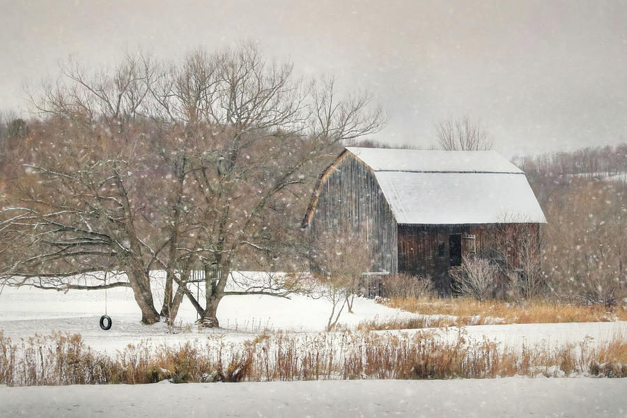 The Stillness of Winter Photograph by Lori Deiter