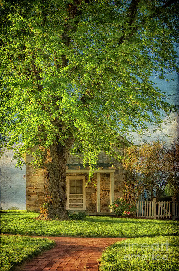 The Stone Cottage On A Spring Evening Photograph by Lois Bryan