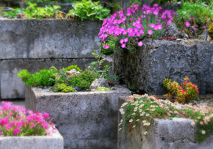 The Stone Planters Photograph by Diana Angstadt