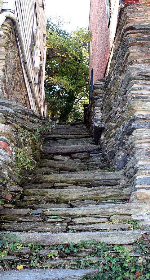 Stone Photograph - The Stone Stairs by Rebecca Smith