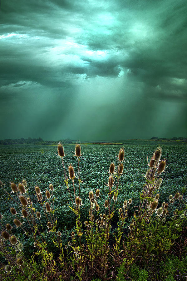 The Storm Before The Calm Photograph by Phil Koch