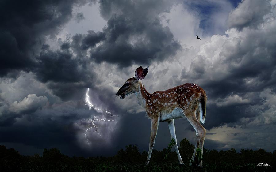 The Storm Digital Art by Bill Stephens