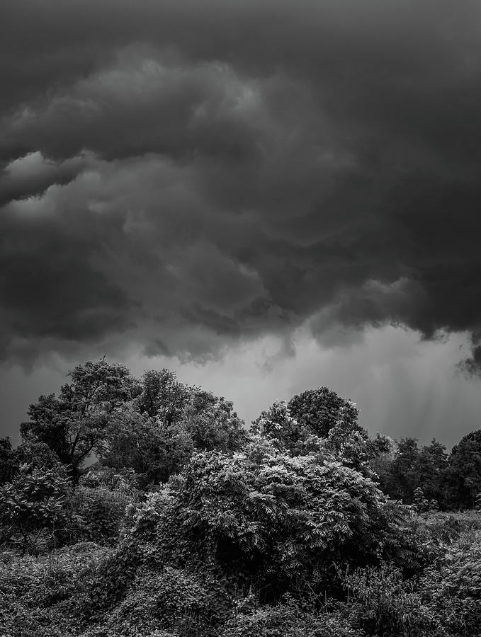 The Storm Black and White Photograph by Bruce Pritchett