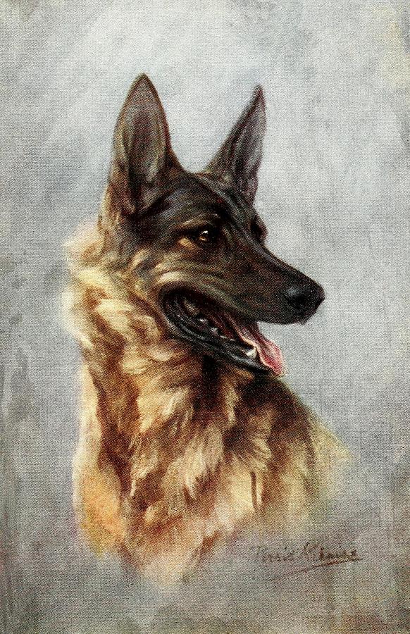 The Story of the Dog 1939 - German Shepherd Painting by Unknown - Pixels