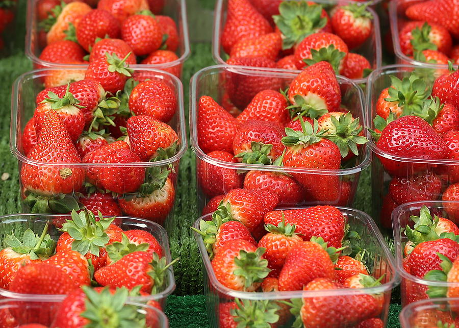 The Strawberries Photograph by Imagery-at- Work