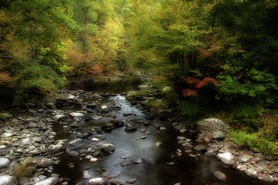 The Stream Flowing Through Autumn Photograph by Mike Eingle