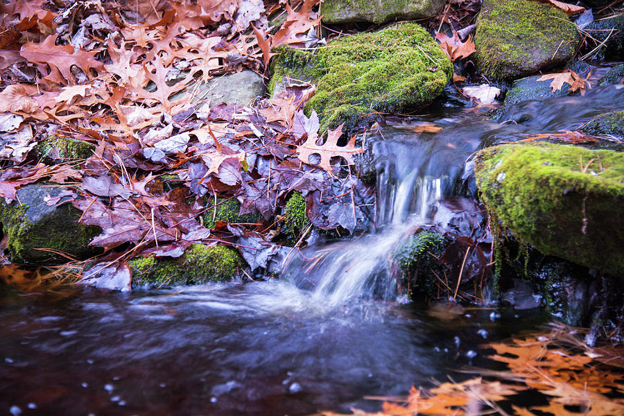 The Stream in Fall Photograph by Robert McKay Jones