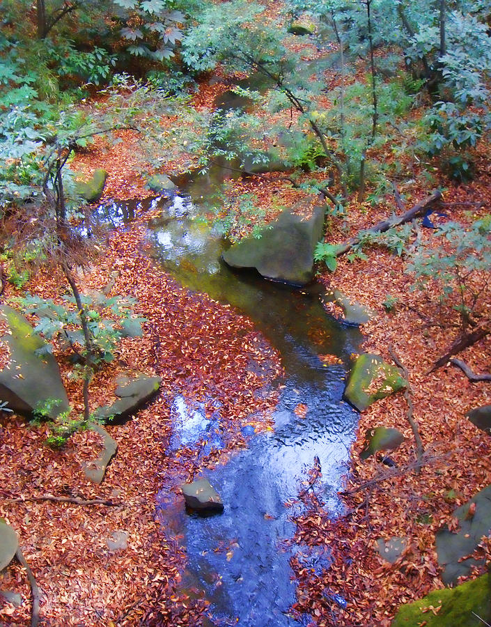 The Stream Photograph by Roberto Alamino