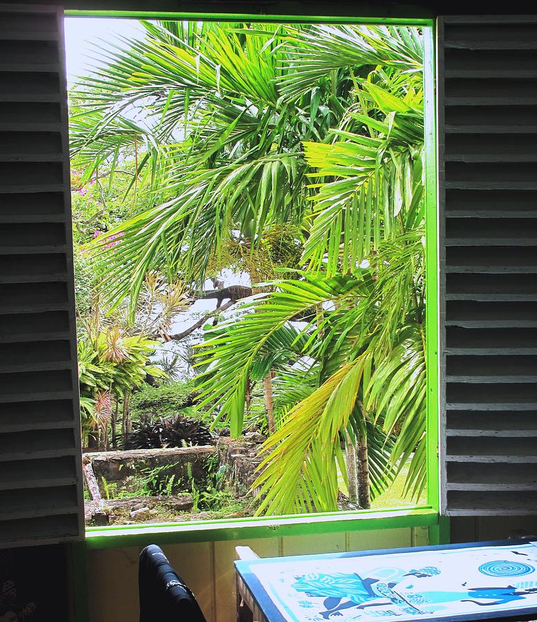 Window Photograph - The Studio window by Ian  MacDonald