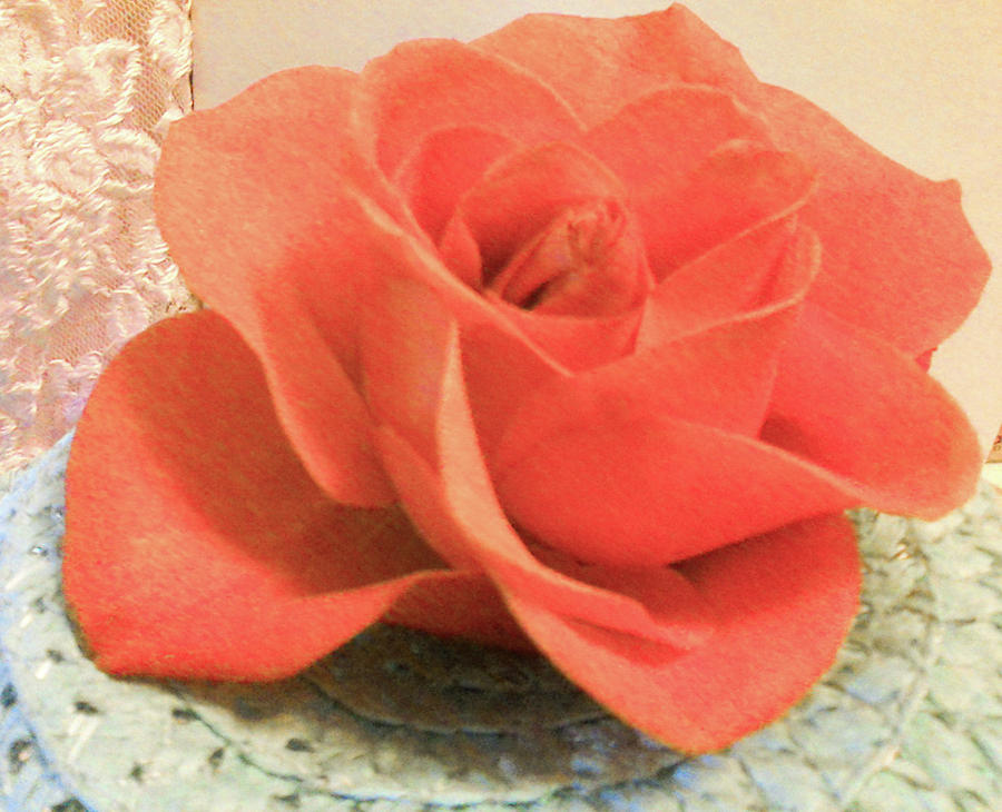The Subtle Rose Photograph
