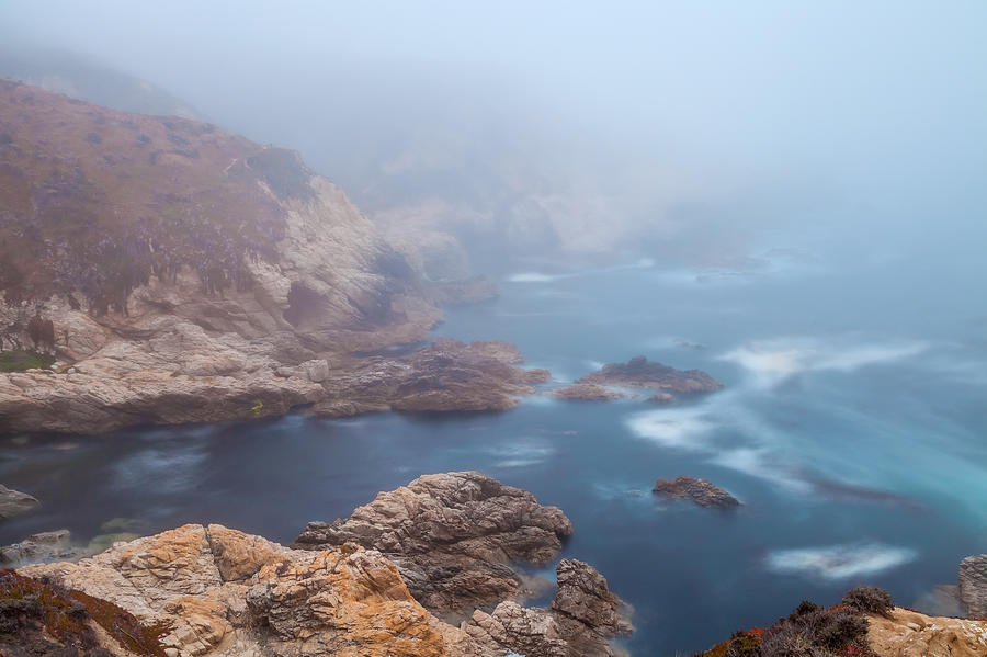 The Summer Fog Photograph by Jonathan Nguyen
