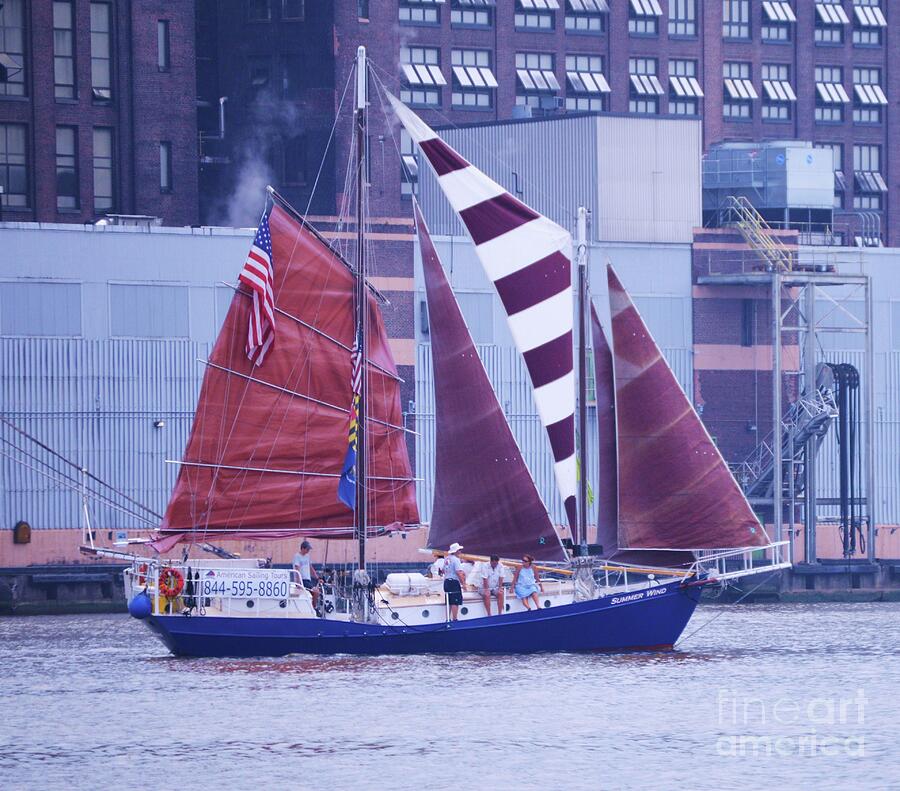 summer wind sailboat baltimore