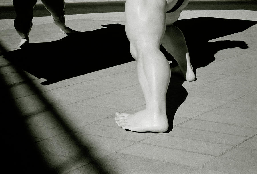The Sumo Photograph by Shaun Higson