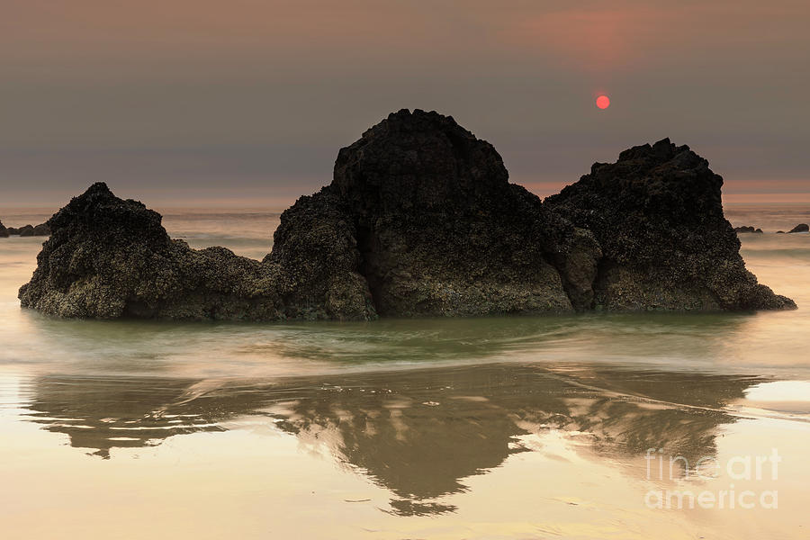 Unique Photograph - The sun and rocks by Masako Metz
